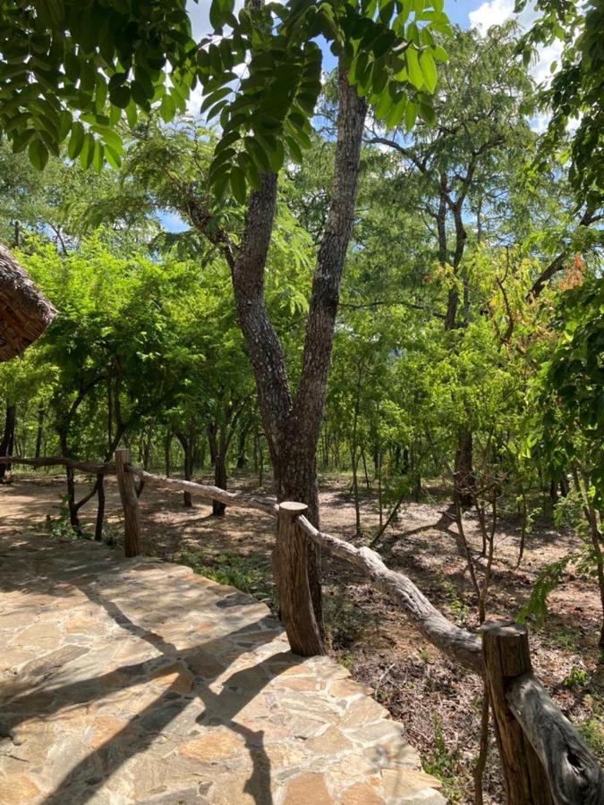 Lemara Eco Camp Hotel Kisaki Ngoại thất bức ảnh