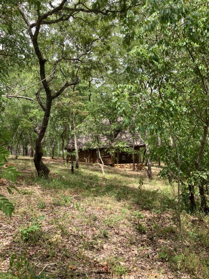 Lemara Eco Camp Hotel Kisaki Ngoại thất bức ảnh